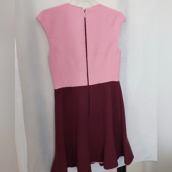 Kate Spade Pink and Burgundy Mission Fig Mainline Colorblock Dress - Picture 5 of 5